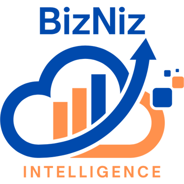 BizNiz Intelligence logo