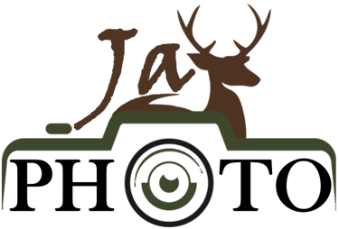 Photographe naturaliste logo