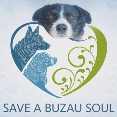 Rescue & Rehome a Buzau Soul RABS Dog Rescue logo