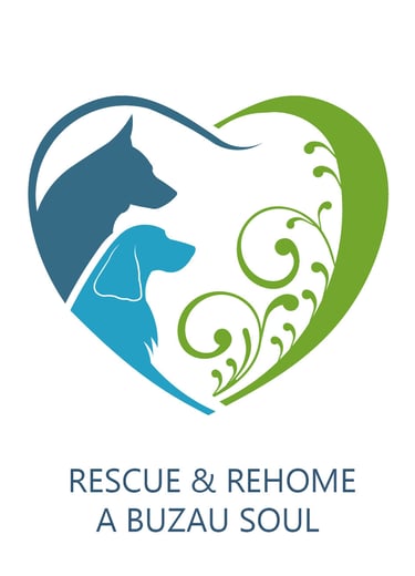 Rescue & Rehome a Buzau Soul RABS Dog Rescue logo