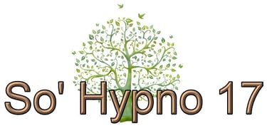 Delphine Brunet - So' Hypno 17 - Hypnose - Sophrologie - Magnétisme logo