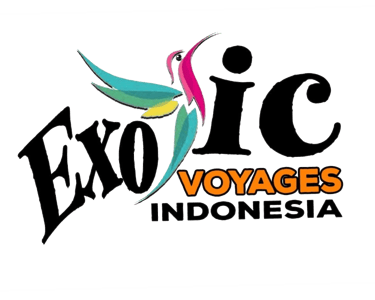 Jelajah Bali logo