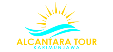 dailytripkarimunjawa.com logo