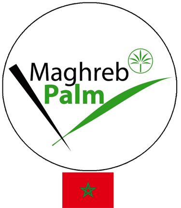 STE MAGHREB PALM logo