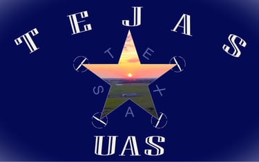 Tejas UAS logo