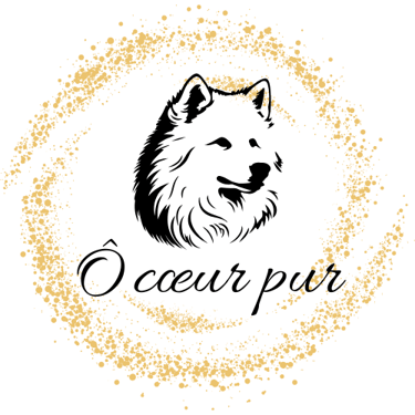 Ô coeur pur logo