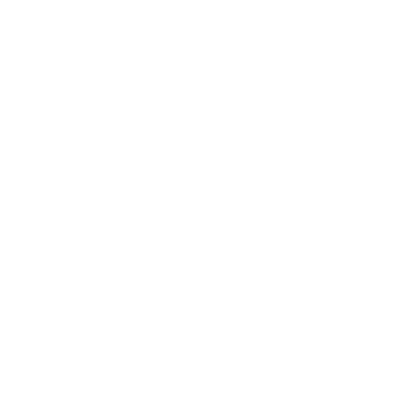 Carboni Pinheiro logo