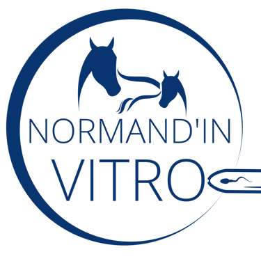 NORMAND'IN VITRO  logo