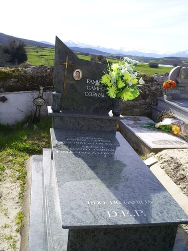 lapida marmoles salces