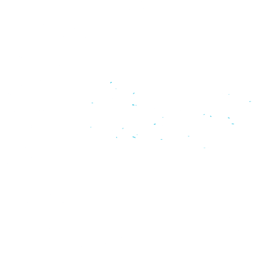 Cam Ranh Surf Camp logo