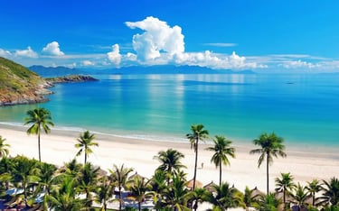 Panoramic view of My Khe Beach in Da Nang with palm trees and blue ocean