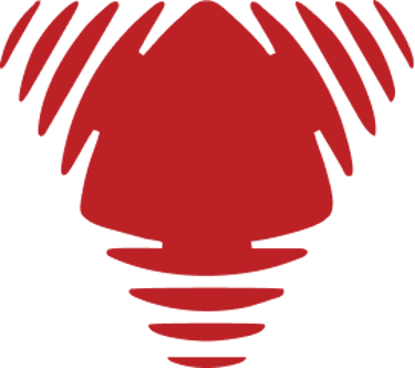 Voltech Multimedia logo