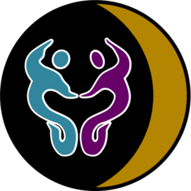 fisio pelvic lunaips logo