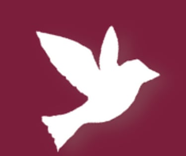 stellamazzetti.top logo