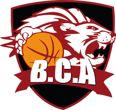 Boutique Basket Club Archepontain logo