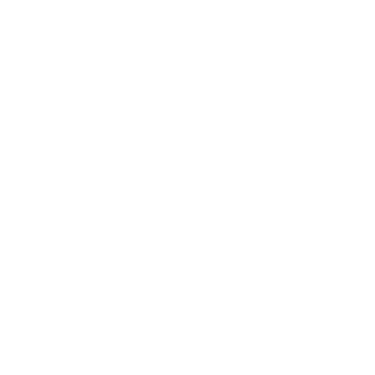 Lleidauto Multimarca logo