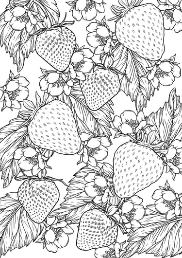 Strawberry coloring page preview – PDKNY Studio, Fruits coloring page preview – PDKNY Studio