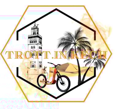 Trott in kech logo