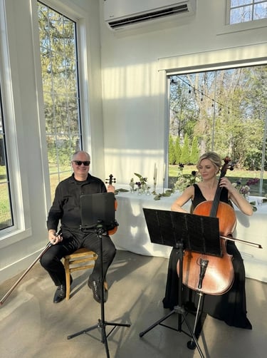 asheville wedding violinist and cellist playing at a wedding ceremony in mills river