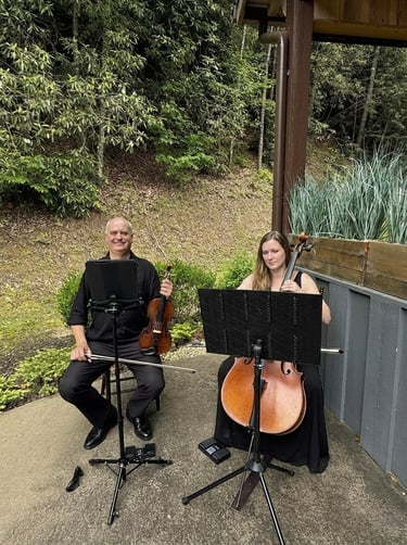 asheville violin and cello duet playing a wedding cocktail hour