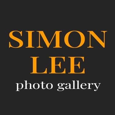 Simon Lee Portraits, Pets & Property Photographer SE London & Kent logo