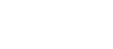 Noyes & Associates logo
