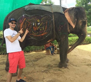 Elephant Park in Jaipur