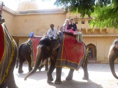 Elephant ride at Amber fort