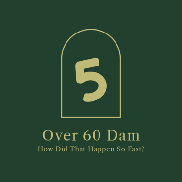 Over 60 Dam logo