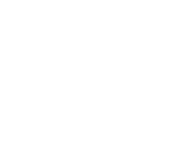 Calvillo Bienes Raices logo