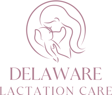 Delaware Lactation Care logo