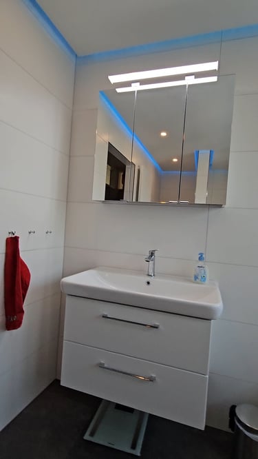 Freinsheim barrierefreies duschen bad sanierung elektrik wohnung waschbecken licht spotlight