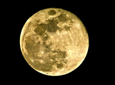 tomas lozano matiz logo