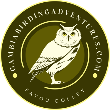 Birding Adventures Gambia & Senegal logo