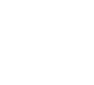 Polymath DSA logo