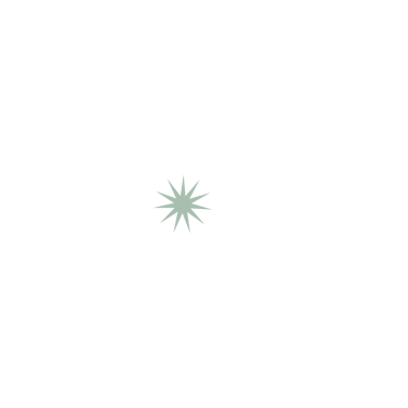 Synergie Holistique logo