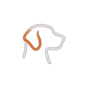 chezeddytoilettage logo