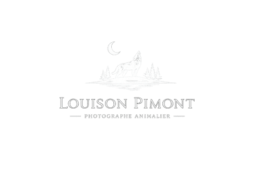 Louison Pimont Photographie logo