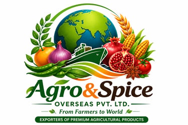 Agro&Spice Overseas Private Limited logo