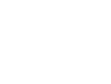 Iranian Documentary Film Festival Munich logo
