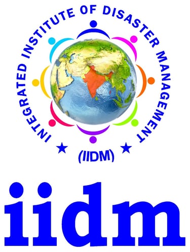 IIDM logo
