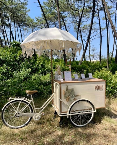 bar mobile vintage cocktail tireuse bière spritz séminaire anniversaire mariage evenement animation biarritz pays-basque