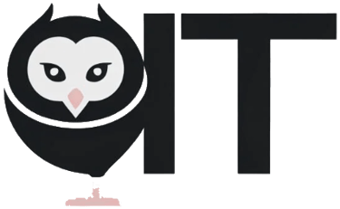 Owl Insight Technologies logo