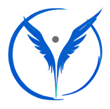 VisionIIM logo