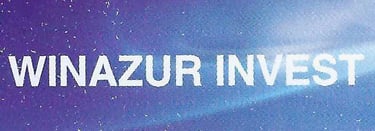 Winazur Invest: Strategic Management & Support Services logo