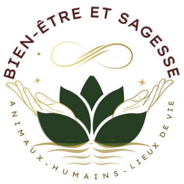 Bien-Etre et Sagesse logo