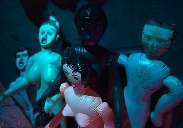 Les poupées crient | Les Camps de l'Amor | David Noir | Photo Karine Lhémon