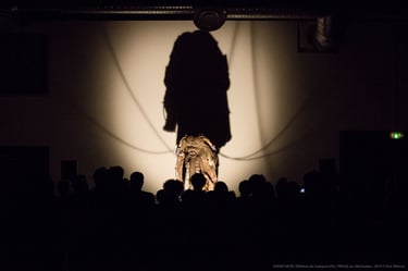 David Noir dans "Défense du masque Ulin" au Générateur | Photo Eric Merour