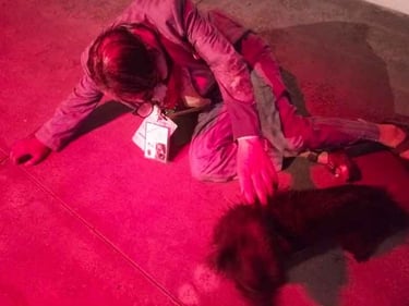 Michel Durian affalé au sol | Pardon je passe | David Noir | Photo Marie Verge