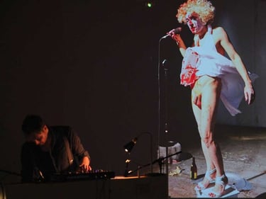 C. Imbs devant une photo de David Noir en Marilyn sanglante | Retour sur investissement | D. Noir | C. Imbs | B. Bousquet